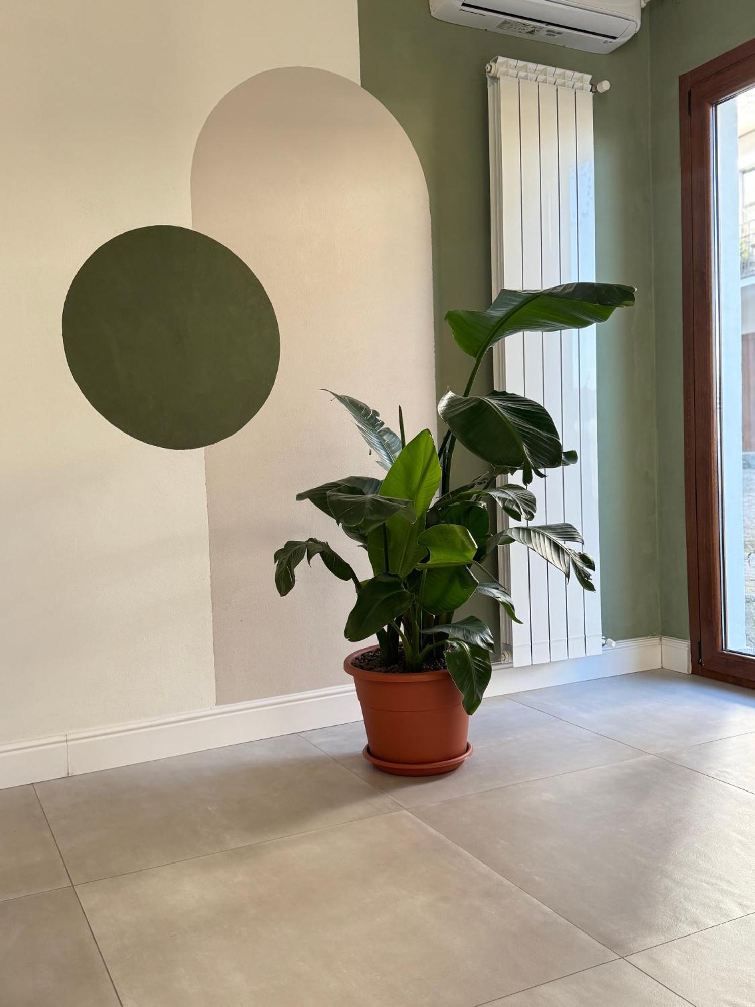 Borgo TicinoIl Cortile Del Borgo别墅 外观 照片